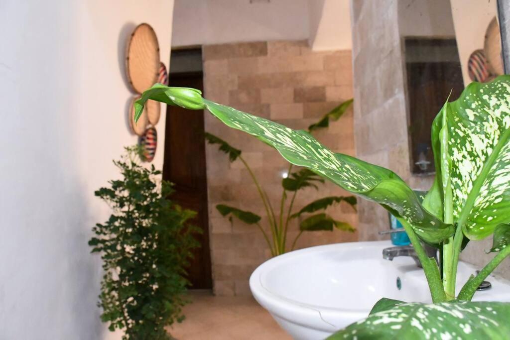 Kiotani Appartamento Zanzibar
